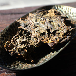 The Five Points 2018 Raw Pu'erh